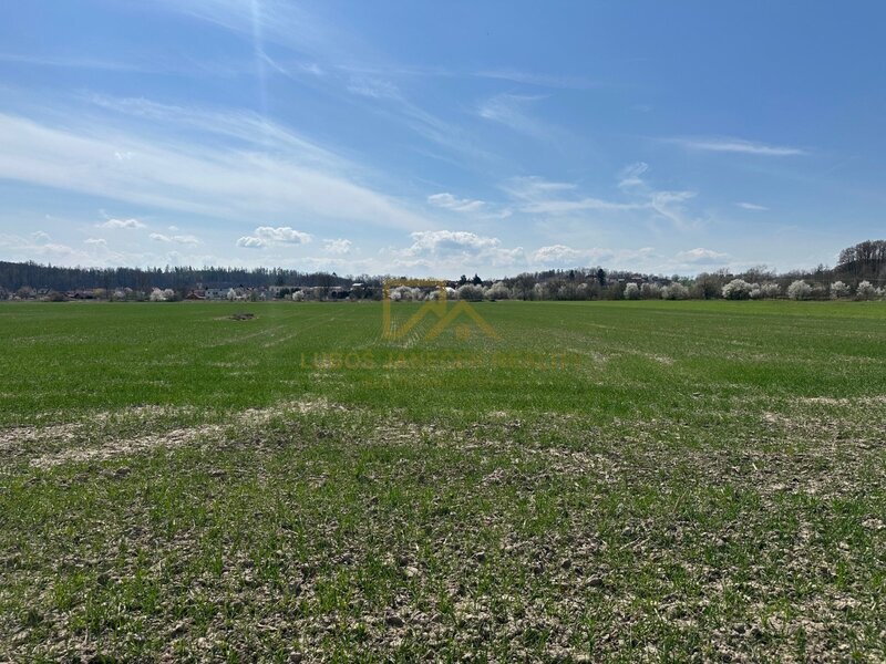 Prodej pozemku 9 981 m²