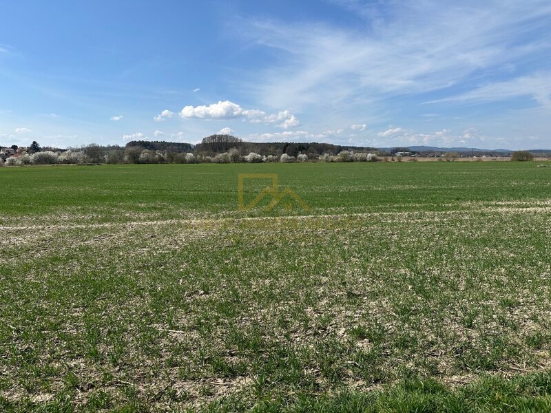 Prodej pozemku 9 981 m²