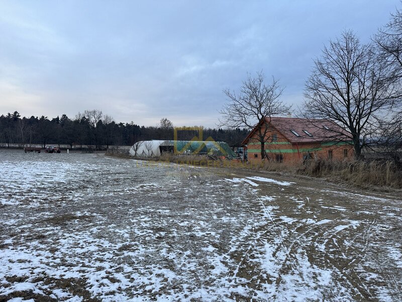 Prodej pozemků na okraji obce Boršov nad Vltavou