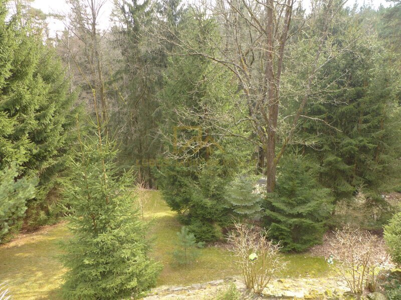 Prodej chaty v lese, vlastní pozemek, koupání