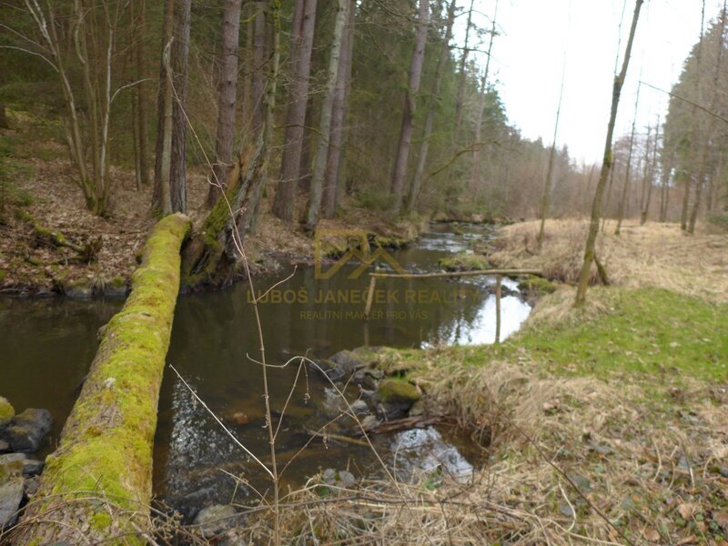 Prodej chaty v lese, vlastní pozemek, koupání