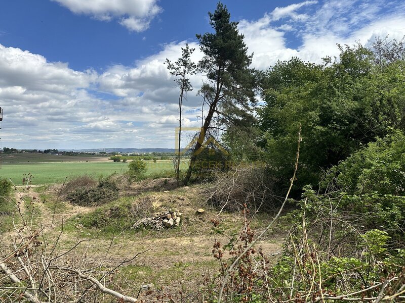 Prodej pozemků pro výrobu, sklady, ale i bydlení, 3 633m2, Boršov nad Vltavou