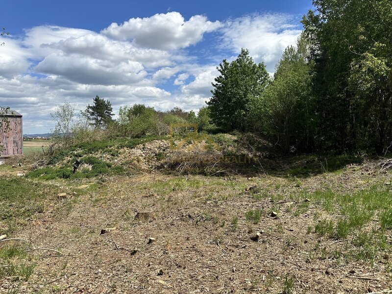 Prodej pozemků pro výrobu, sklady, ale i bydlení, 3 633m2, Boršov nad Vltavou