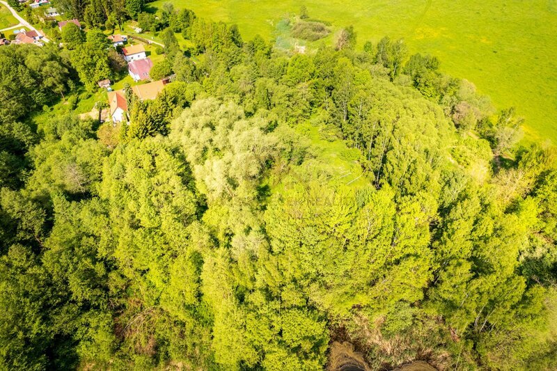 Prodej velkého pozemku o výměře 5 446 m2, u rybníka na konci obce Hartunkov, Novohradské hory
