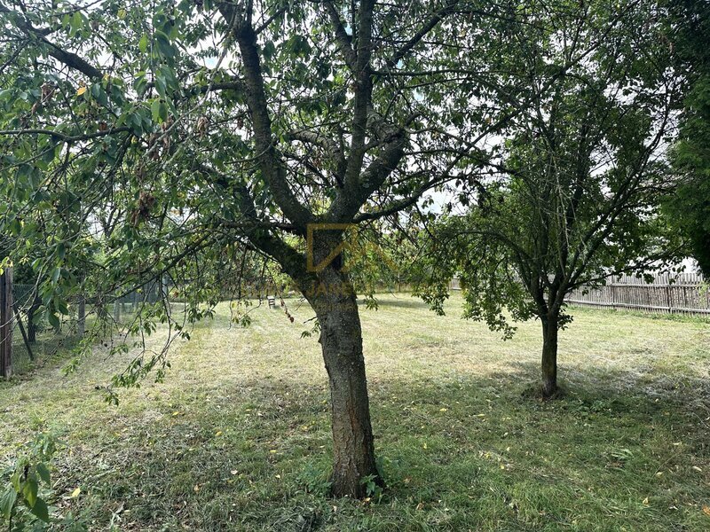 Prodej rodinného domu, uzavřený dvůr, zahrada 861 m2, Drahonice