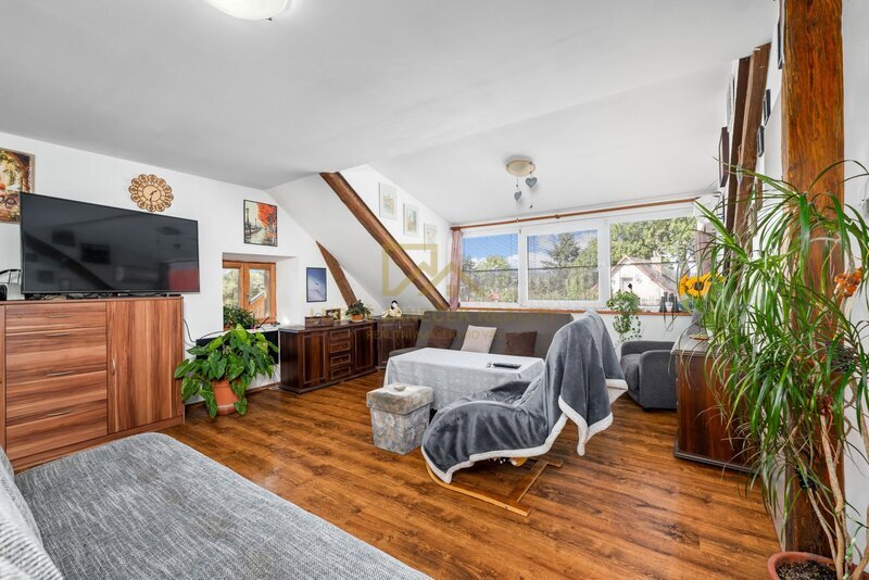 Rodinný dům s byty 3+kk,2+kk a 4 apartmánů, 162m2, zahrada