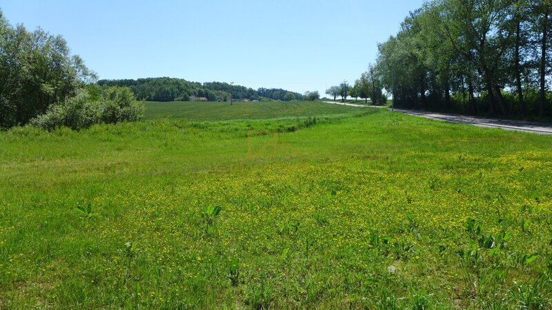 Prodej pozemku k výstavbě RD, 790m2, včetně projektu a povolení na dům a inženýrské sítě, Vráto