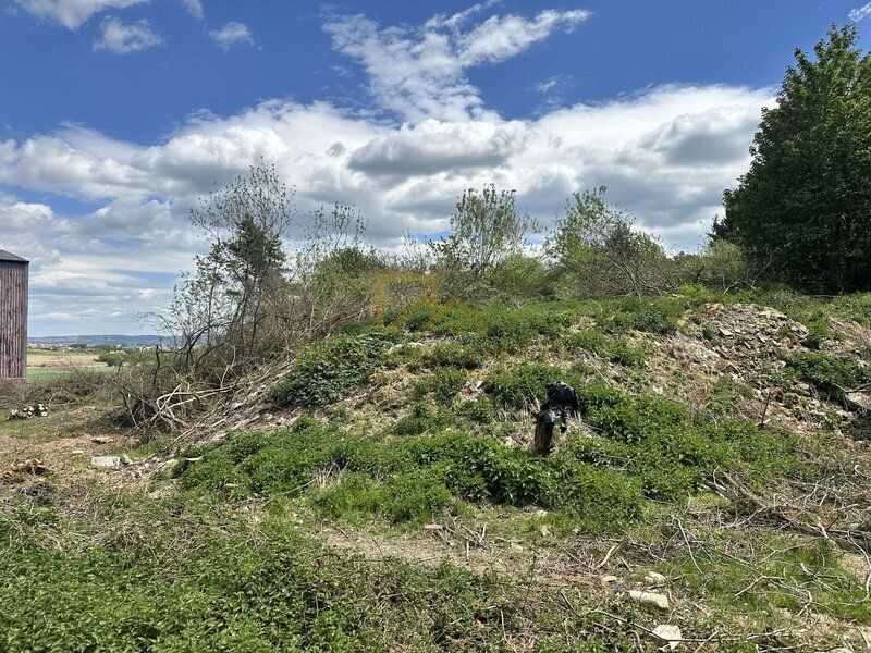 Prodej pozemků pro výrobu, sklady, ale i bydlení, 3 633m2, Boršov nad Vltavou
